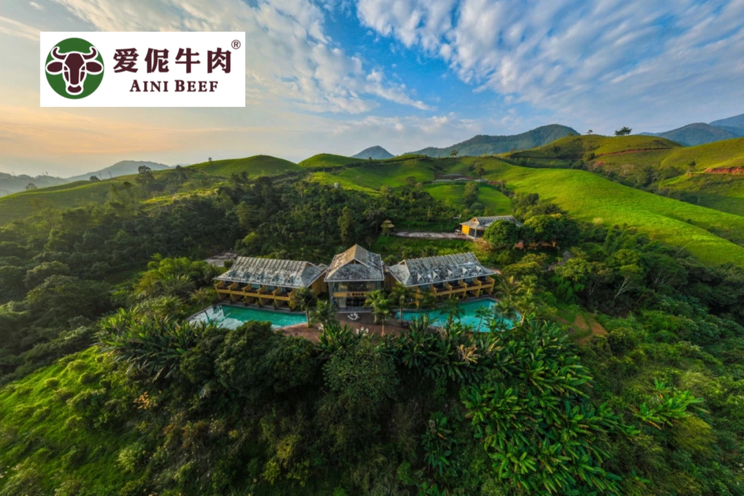 爱伲集团：从咖啡庄园到全产业链，人事管理成为农业发展“加速器”